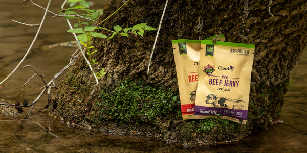 About Beef Jerky and Biltong