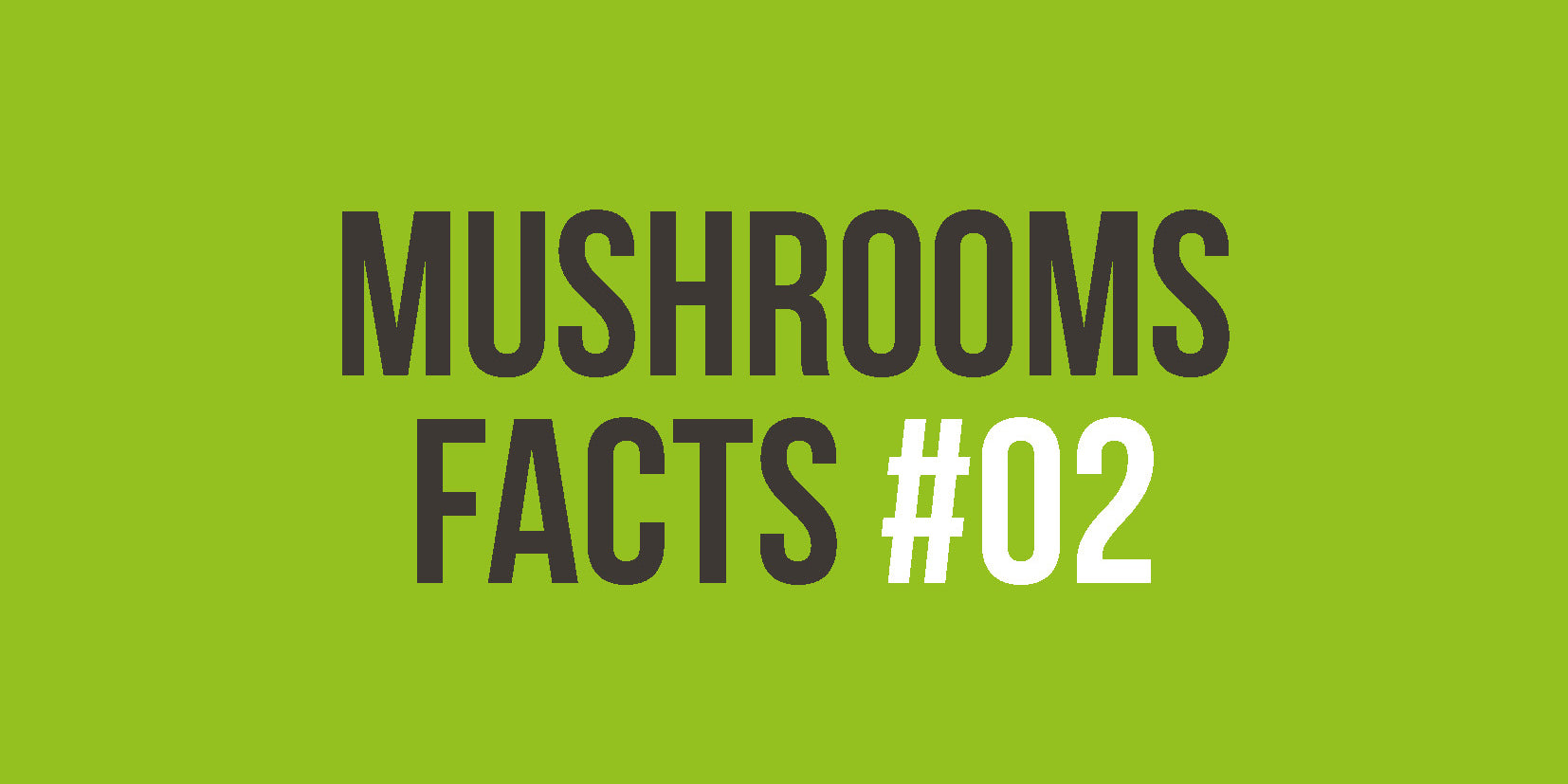 [MUSHROOM FACTS #02] Refuerzan el sistema inmunitario