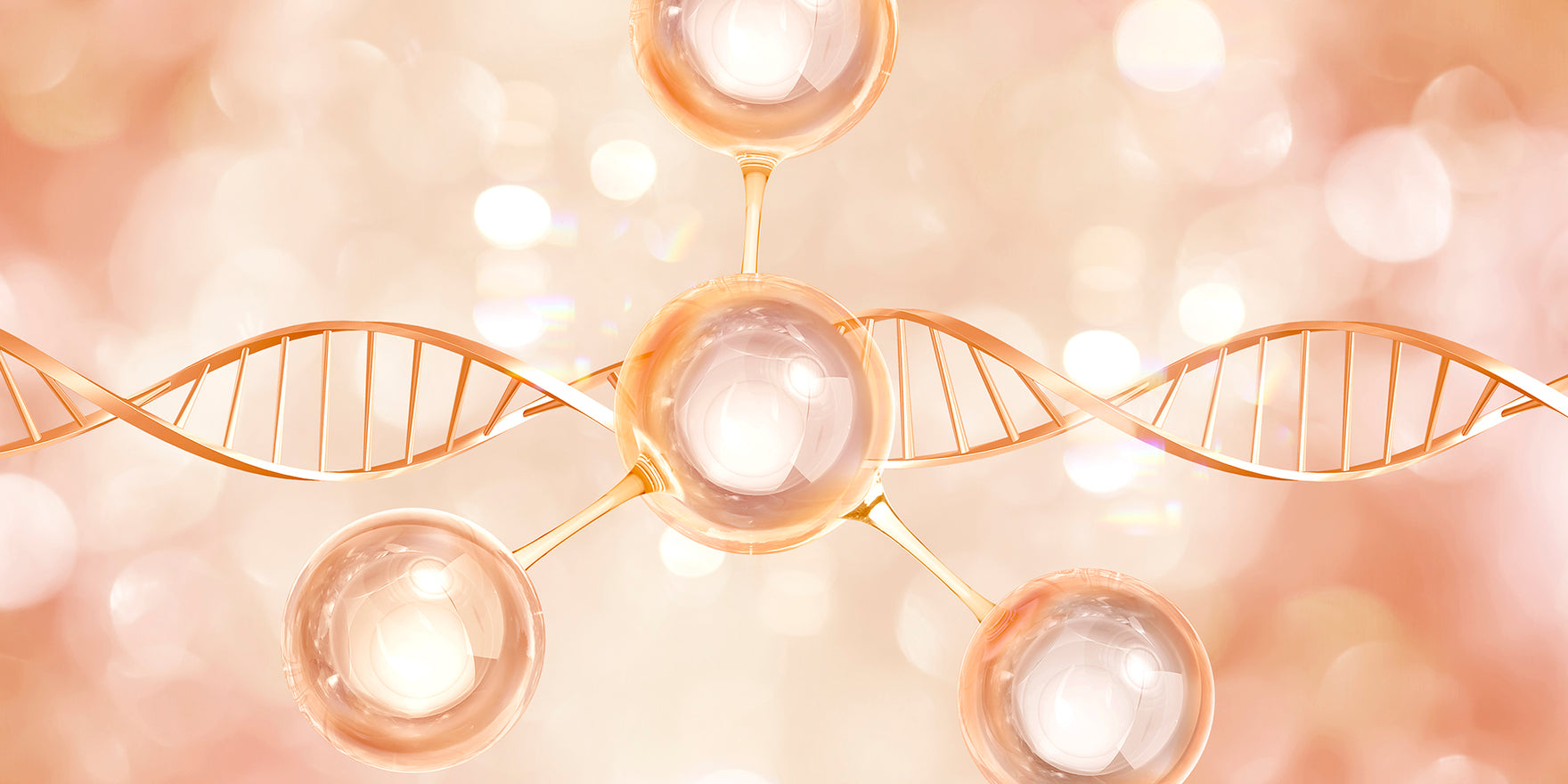 7 BENEFICIOS POTENCIALES DEL COLÁGENO EN TU DIETA