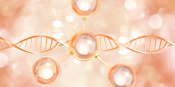 7 POTENTIAL BENEFITS OF COLLAGEN IN YOUR DIET