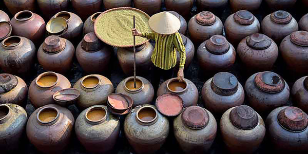 Differences between Soy Sauce and Tamari Sauce. Which is healthier?